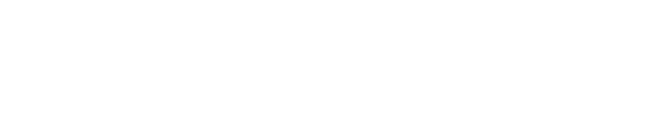There is only one Leon