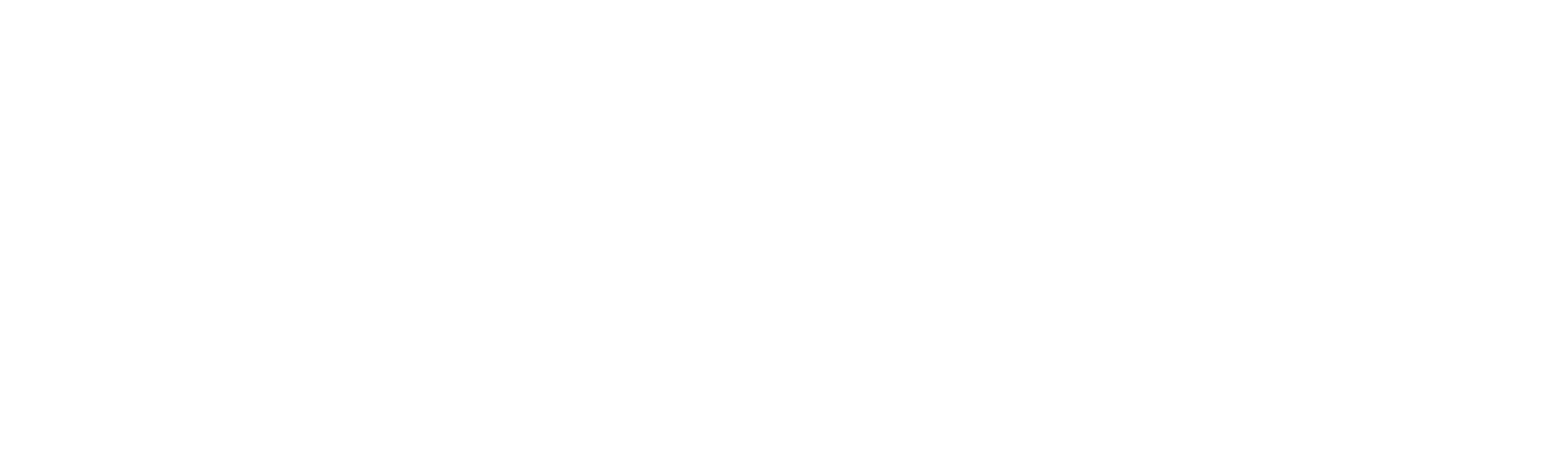 Sólo hay un Leon